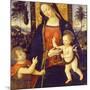 Virgin and Child with John the Baptist as a Boy, 1490-1500-Bernardino Pinturicchio-Mounted Giclee Print