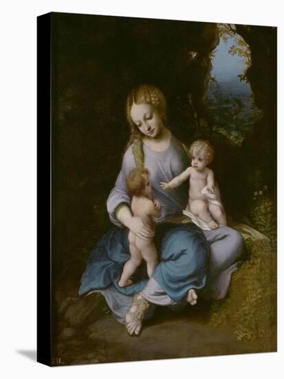 Virgin and Child with John the Baptist as a Boy-Correggio-Stretched Canvas