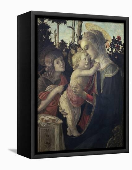 Virgin and Child with John the Baptist-Sandro Botticelli-Framed Stretched Canvas