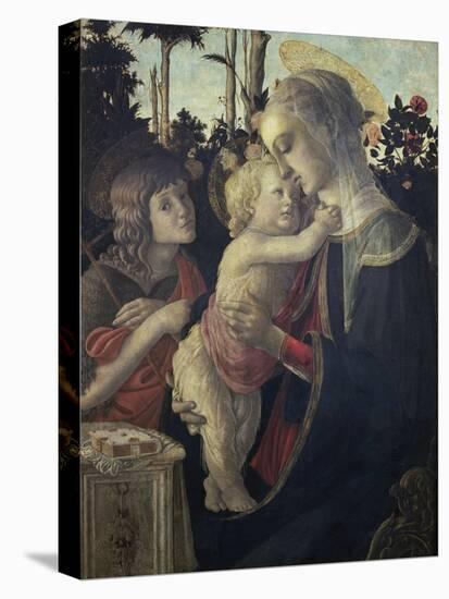 Virgin and Child with John the Baptist-Sandro Botticelli-Stretched Canvas