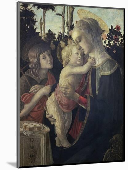 Virgin and Child with John the Baptist-Sandro Botticelli-Mounted Giclee Print