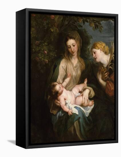 Virgin and Child with Saint Catherine of Alexandria, c.1630-Anthony van Dyck-Framed Stretched Canvas