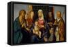 Virgin and Child with Saints and a Donor, 1505-1515 (Oil on Canvas)-Boccaccio Boccaccino-Framed Stretched Canvas