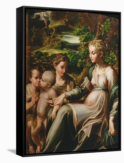 Virgin and Child, with Saints Catherine and John-Parmigianino-Framed Stretched Canvas