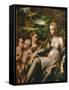 Virgin and Child, with Saints Catherine and John-Parmigianino-Framed Stretched Canvas