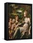 Virgin and Child, with Saints Catherine and John-Parmigianino-Framed Stretched Canvas