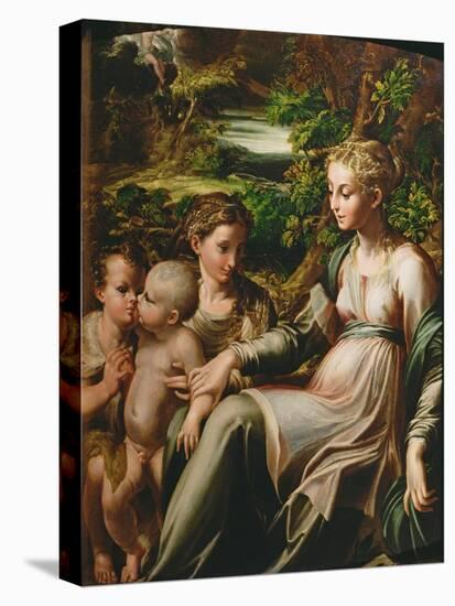 Virgin and Child, with Saints Catherine and John-Parmigianino-Stretched Canvas