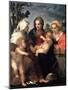 Virgin and Child with Saints Catherine, Elisabeth and John the Baptist, 1510S-Andrea del Sarto-Mounted Premium Giclee Print