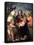 Virgin and Child with Saints Catherine, Elisabeth and John the Baptist, 1510S-Andrea del Sarto-Framed Stretched Canvas