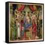 Virgin and Child with Saints from the Altarpiece of San Barnabas, circa 1487-Sandro Botticelli-Framed Stretched Canvas