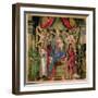 Virgin and Child with Saints from the Altarpiece of San Barnabas, circa 1487-Sandro Botticelli-Framed Giclee Print