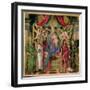 Virgin and Child with Saints from the Altarpiece of San Barnabas, circa 1487-Sandro Botticelli-Framed Giclee Print