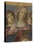 Virgin and Child with Six Angels (Madonna of the Pomegranate)-Sandro Botticelli-Stretched Canvas