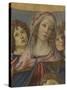 Virgin and Child with Six Angels (Madonna of the Pomegranate)-Sandro Botticelli-Stretched Canvas