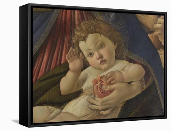 Virgin and Child with Six Angels (Madonna of the Pomegranate)-Sandro Botticelli-Framed Stretched Canvas