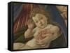 Virgin and Child with Six Angels (Madonna of the Pomegranate)-Sandro Botticelli-Framed Stretched Canvas