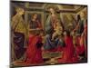 Virgin and Child with SS. Mary Magdalene, John The Baptist, Cosmo, Damian, Francis and Catherine-Sandro Botticelli-Mounted Giclee Print