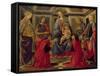 Virgin and Child with SS. Mary Magdalene, John The Baptist, Cosmo, Damian, Francis and Catherine-Sandro Botticelli-Framed Stretched Canvas