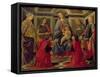 Virgin and Child with SS. Mary Magdalene, John The Baptist, Cosmo, Damian, Francis and Catherine-Sandro Botticelli-Framed Stretched Canvas