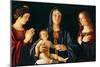 Virgin and Child with St. Catherine and Mary Magdalene, c.1500-Giovanni Bellini-Mounted Giclee Print