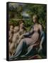 Virgin and Child with St. John the Baptist and Mary Magdalene, 1535-40-Parmigianino-Framed Stretched Canvas