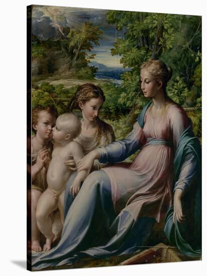 Virgin and Child with St. John the Baptist and Mary Magdalene, 1535-40-Parmigianino-Stretched Canvas