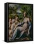 Virgin and Child with St. John the Baptist and Mary Magdalene, 1535-40-Parmigianino-Framed Stretched Canvas