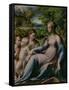 Virgin and Child with St. John the Baptist and Mary Magdalene, 1535-40-Parmigianino-Framed Stretched Canvas