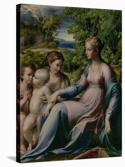 Virgin and Child with St. John the Baptist and Mary Magdalene, 1535-40-Parmigianino-Stretched Canvas