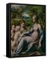 Virgin and Child with St. John the Baptist and Mary Magdalene, 1535-40-Parmigianino-Framed Stretched Canvas