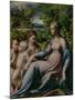 Virgin and Child with St. John the Baptist and Mary Magdalene, 1535-40-Parmigianino-Mounted Giclee Print