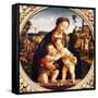 Virgin and Child with St John the Baptist-Piero di Cosimo-Framed Stretched Canvas