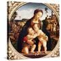 Virgin and Child with St John the Baptist-Piero di Cosimo-Stretched Canvas