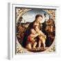 Virgin and Child with St John the Baptist-Piero di Cosimo-Framed Giclee Print