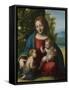 Virgin and Child with the Young Saint John the Baptist, C.1515-Correggio-Framed Stretched Canvas