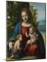 Virgin and Child with the Young Saint John the Baptist, C.1515-Correggio-Mounted Giclee Print