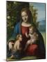 Virgin and Child with the Young Saint John the Baptist, C.1515-Correggio-Mounted Giclee Print