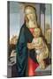 Virgin and Child-Sandro Botticelli-Mounted Giclee Print