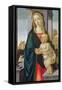 Virgin and Child-Sandro Botticelli-Framed Stretched Canvas