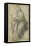 Virgin and Child-Raphael-Framed Stretched Canvas