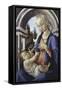 Virgin and Child-Sandro Botticelli-Framed Stretched Canvas