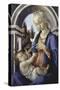 Virgin and Child-Sandro Botticelli-Stretched Canvas