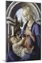 Virgin and Child-Sandro Botticelli-Mounted Giclee Print