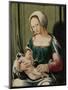 Virgin and Child-Lucas van Leyden-Mounted Art Print