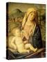 Virgin and Child-Nicolo Rondinello-Stretched Canvas