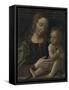 Virgin and Child-Francesco Napoletano-Framed Stretched Canvas