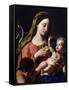 Virgin and Child-Francesco Trevisani-Framed Stretched Canvas