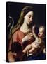 Virgin and Child-Francesco Trevisani-Stretched Canvas