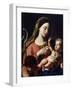 Virgin and Child-Francesco Trevisani-Framed Giclee Print