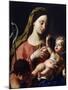 Virgin and Child-Francesco Trevisani-Mounted Giclee Print